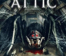 Spider in the Attic (2021)