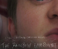 The Rainbow Experiment (2018)