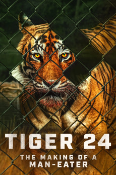 Tiger 24 (2022)