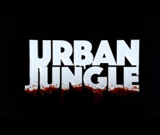 Urban Jungle (2016)