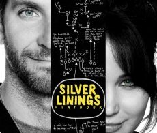 Silver Linings Playbook (2012)